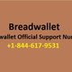 Illustration for article titled How to resolve Breadwallet Account Issue?em/em